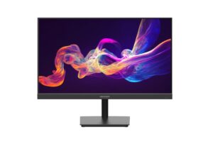 Hikvision 23.8 inch FHD 100Hz IPS Monitor DS-D5024F2-AP2