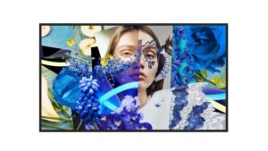 Hikvision 65-inch Slim Digital Signage DS-D6065UN-DP